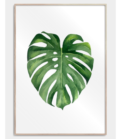 Enkel og stilfuld plakat med et stort grønt monstera blad. Perfekt plakat til den moderne indretning