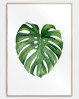 Enkel og stilfuld plakat med et stort grønt monstera blad. Perfekt plakat til den moderne indretning
