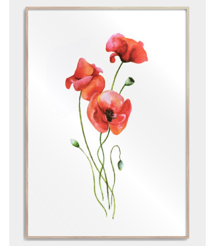 Flot og farverig plakat med valmue blomster. En stilfuld blomsterplakat til det moderne hjem