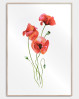 Flot og farverig plakat med valmue blomster. En stilfuld blomsterplakat til det moderne hjem