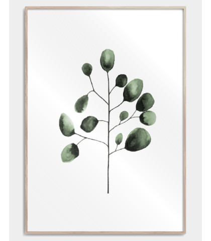 Flot blomsterplakat til den moderne indretning. Eukalyptus plakat med fine detaljer og skønne farver.