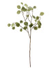 Flot og naturtro kunstig gren med Eucalyptus