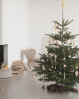 Det perfekte juletræ med Georg Jensen topstjerne. Stilfuld topstjerne med motiv af isblomst