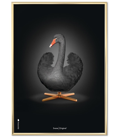 Stilfuld Svanen plakat fra Brainchild. Den sorte svane på sort baggrund