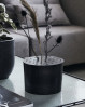 Den perfekte måde at præsentere de smukke blomster på. Flow vase med hul-låg til hver enkelt blomst