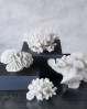 En smuk samling af Mette Ditmer dekorations koraller til hjemmet. 
