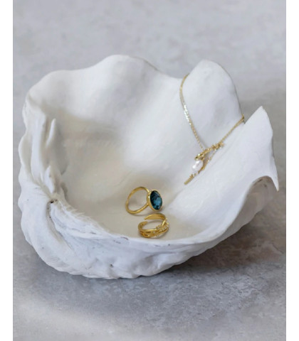 Brug den smukke Mette Ditmer muslingeskal til opbevaring af dine smykker.