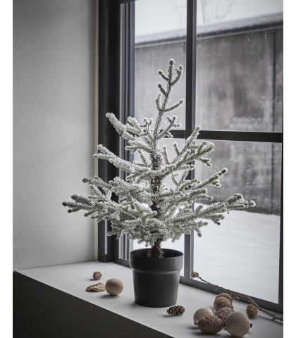 Lad det fine juletræ stå og sprede hygge og god atmosfære i hjemmet i december