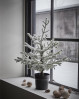 Lad det fine juletræ stå og sprede hygge og god atmosfære i hjemmet i december