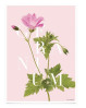 Geranium - Martin Moore plakat