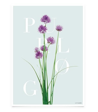 Plakat med purløg - Martin Moore plakat 