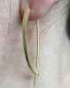 Aqua Dulce øreringe med buet stav